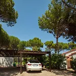 Alma - S4199 סנטה מרגריטה די פולה