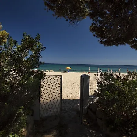 Alma - S4199 Santa Margherita di Pula