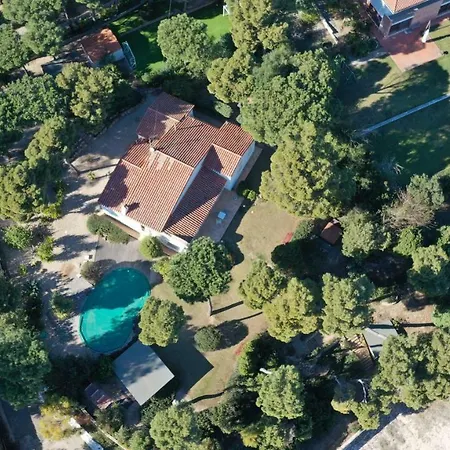 Alma - S4199 Villa *